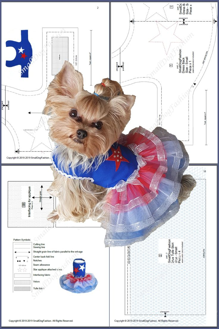 Cute 4Th July Tutu Dress Pattern Pdf For Small Dog in Printable Dog Dress Pattern