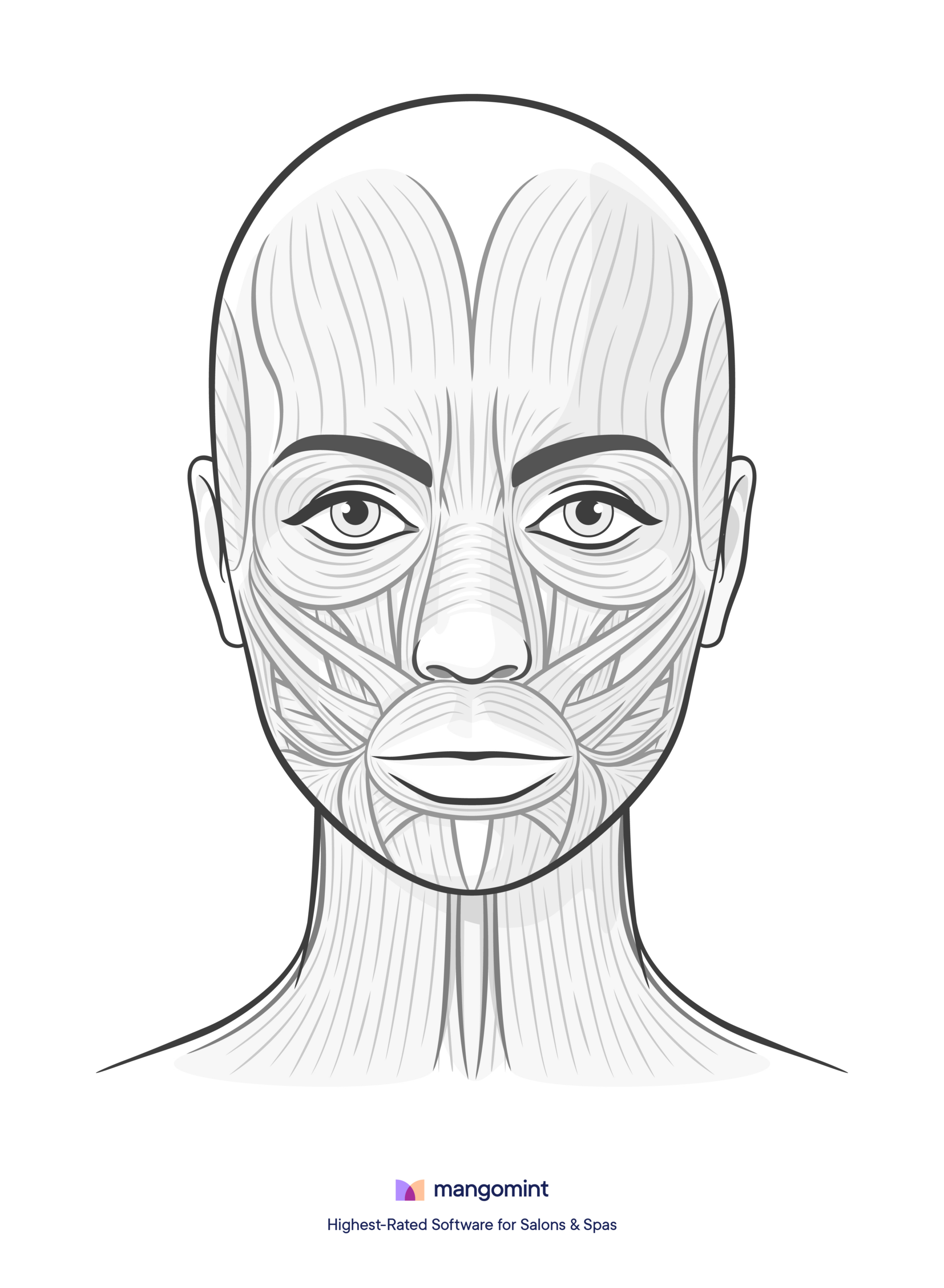 Face Charts: Templates For Spas, Salons, And Tattoo Shops throughout Free Printable Botox Face Chart