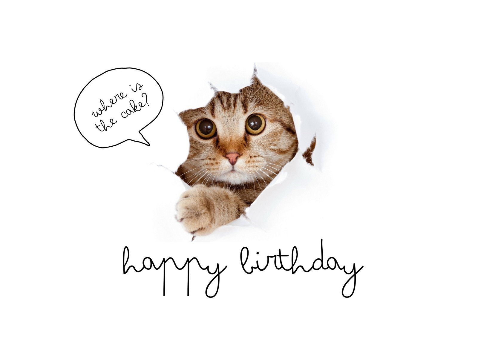 Free Printable Funny Birthday Card Templates | Canva in Happy Birthday Card Printable Funny