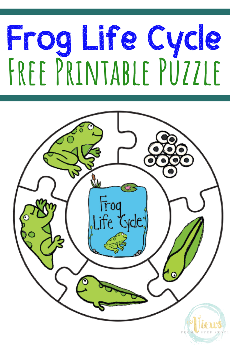 Frog Life Cycle Printable Puzzle - Views From A Step Stool inside Frog Life Cycle Free Printable