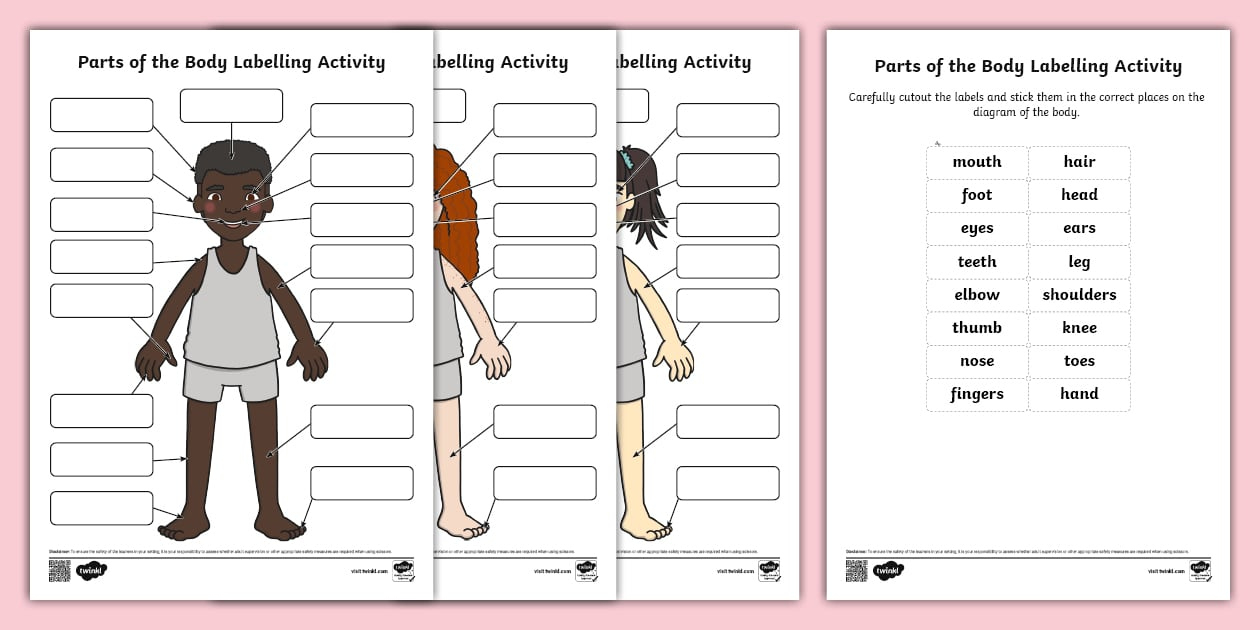 Human Body Parts Labelling Activity | Science | Twinkl for Printable Body Regions Labeling Worksheet