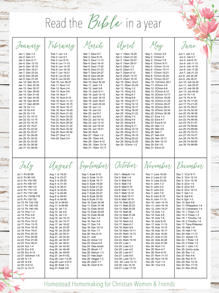 Read The Bible In A Year | Homestead Homemaking - Amy K Fewell pertaining to Read the Bible in a Year Schedule Printable