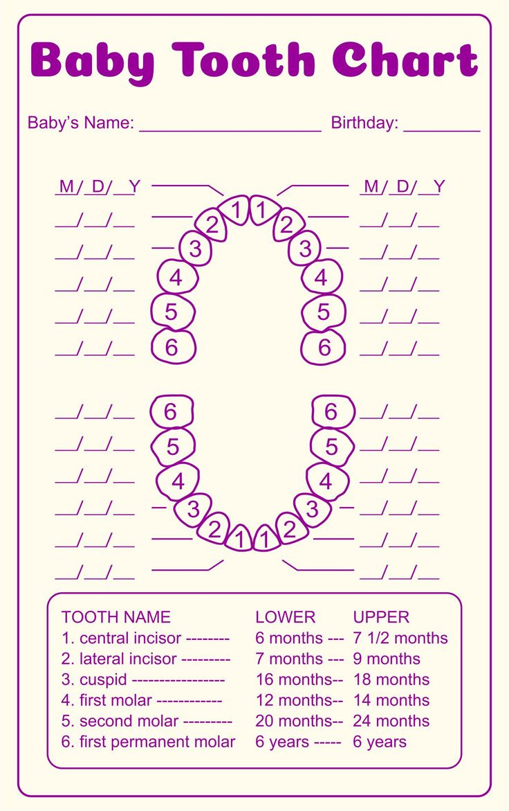 Tooth Chart Full Sheet - 15 Free Pdf Printables | Printablee in Free Printable Tooth Chart Printable
