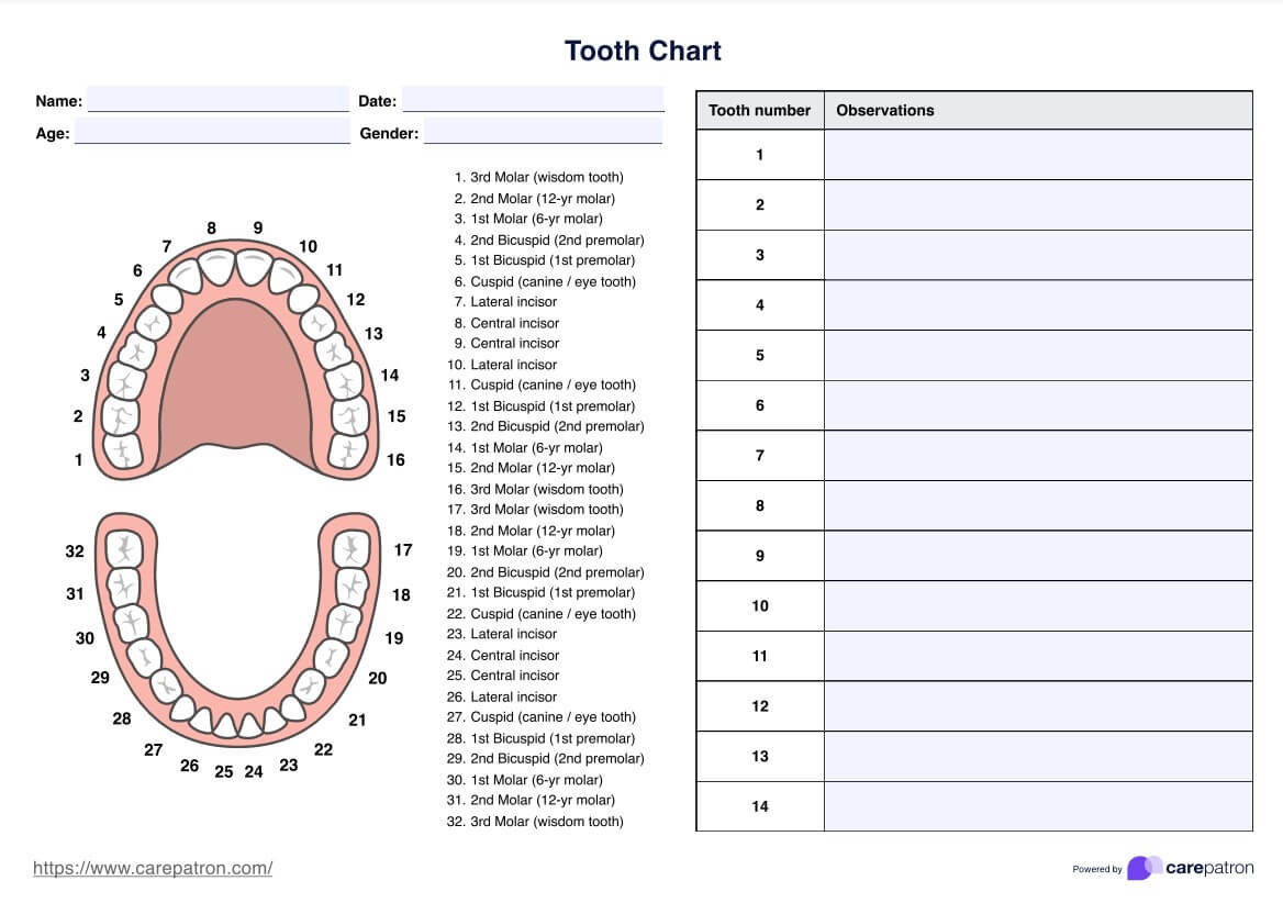 Tooth Charts regarding Free Printable Tooth Chart Printable