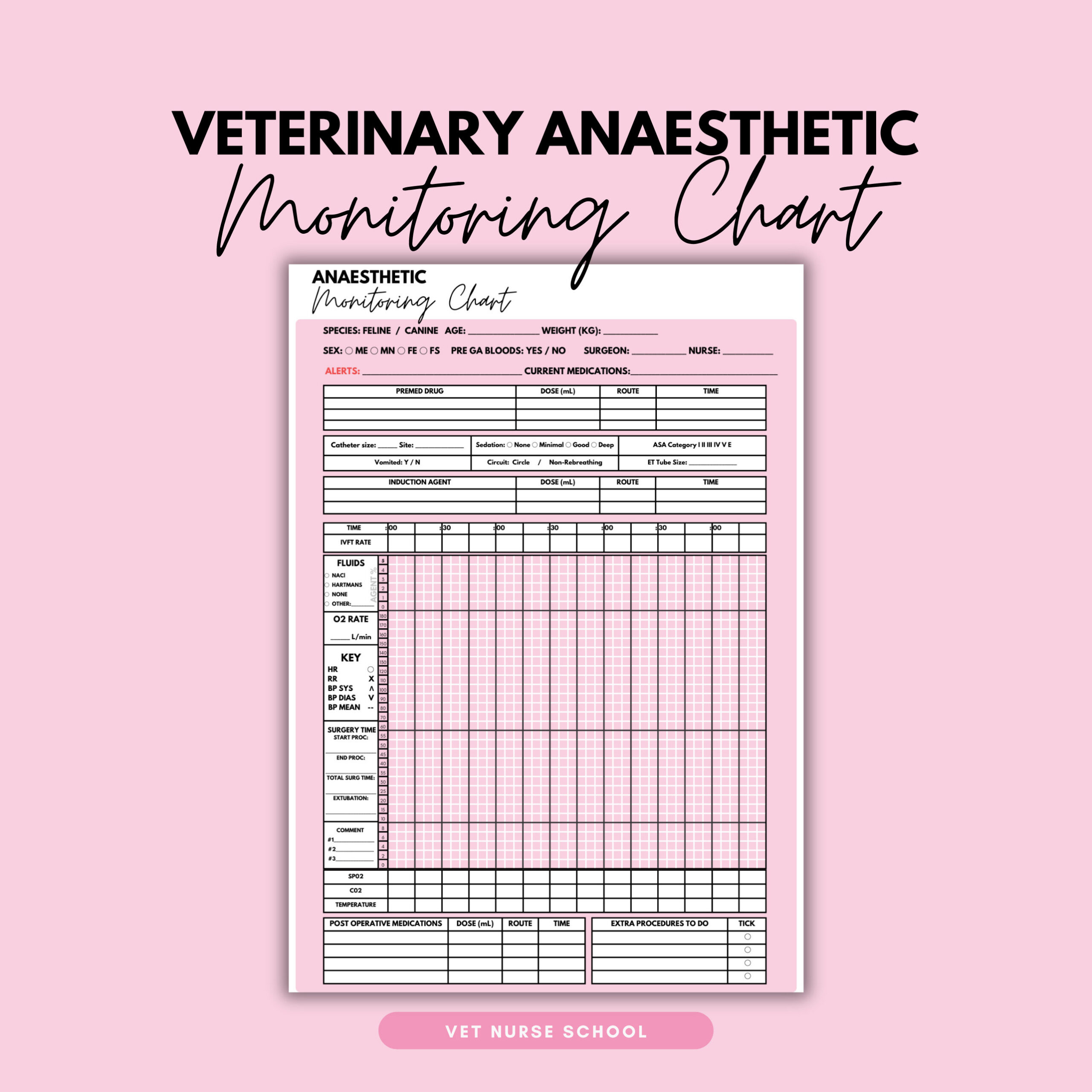 Veterinary Anaesthetic Monitoring Chart Vet Nurse - Etsy Uk pertaining to Printable Veterinary Anesthesia Monitoring Sheet